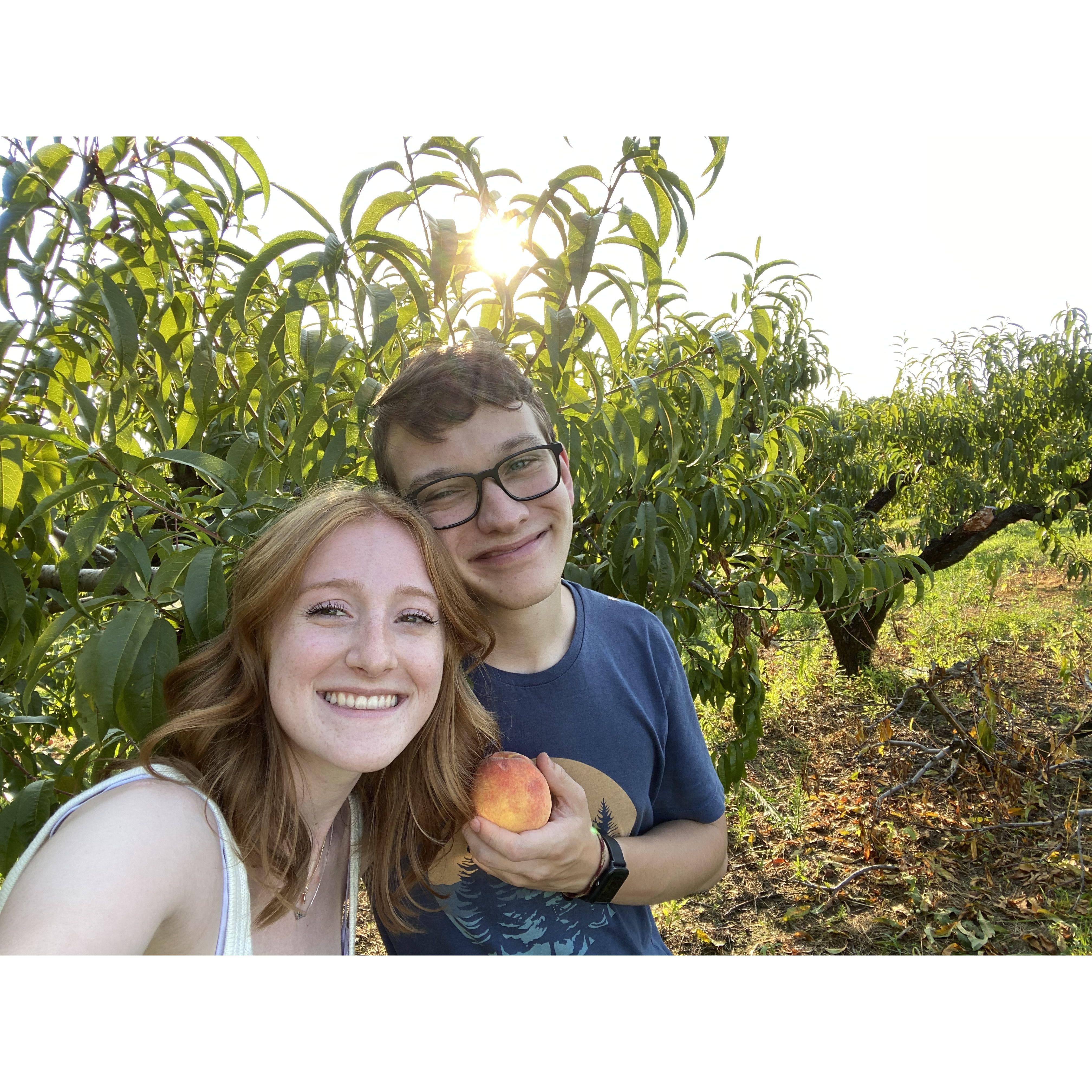 One of our many adventures- peach picking!
