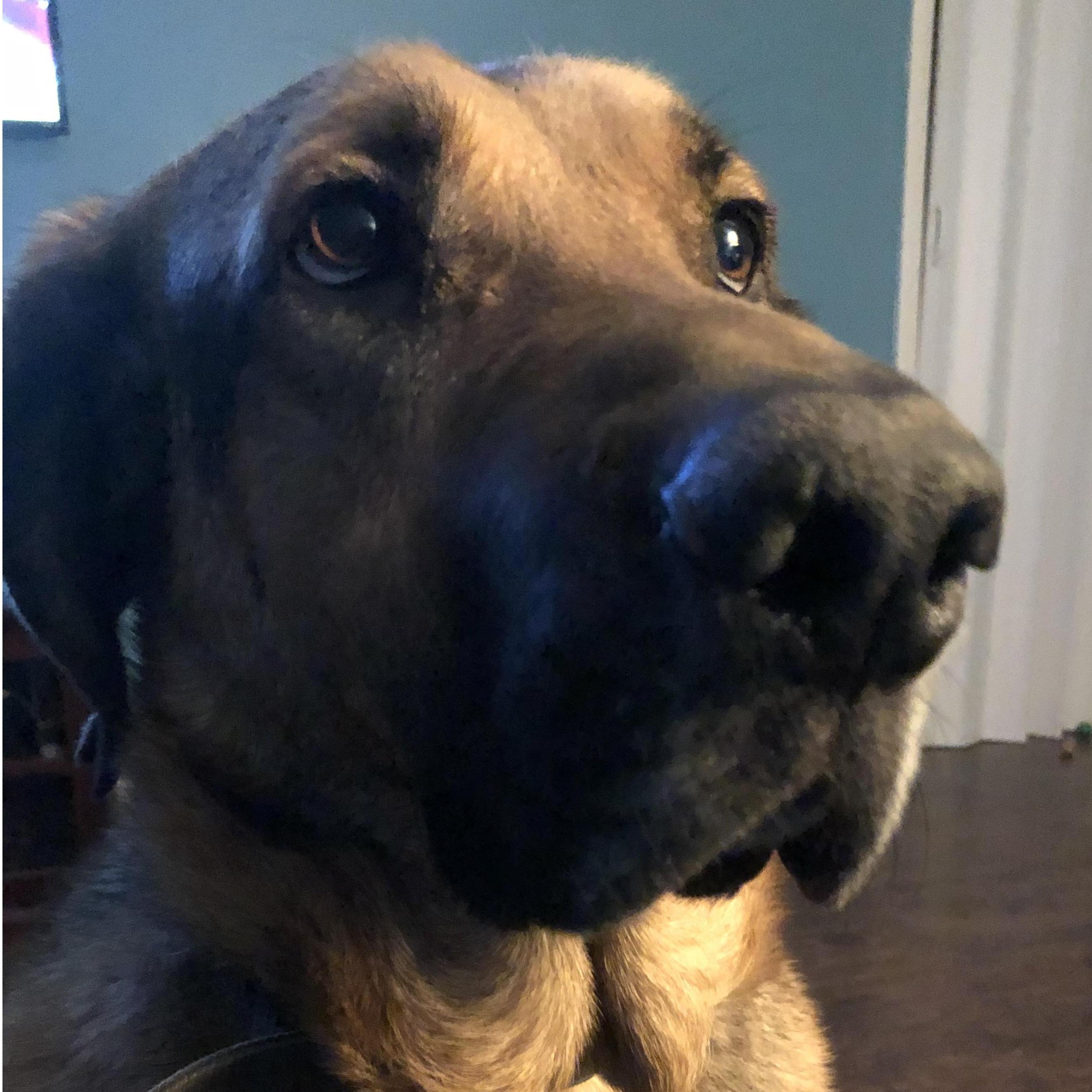 Sweet Boy, Samson