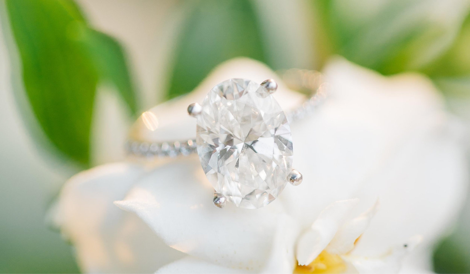The Wedding Website of Tiffany Kimbrell and Spencer Brown
