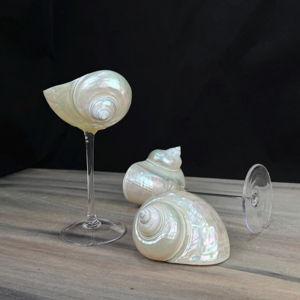 Customised Seashell Wine Glasses - - Wedding Gifts - Anniversary Gifts - Party Goblets - Handmade Seashell Martini Glasses, Gift for Sister - Etsy