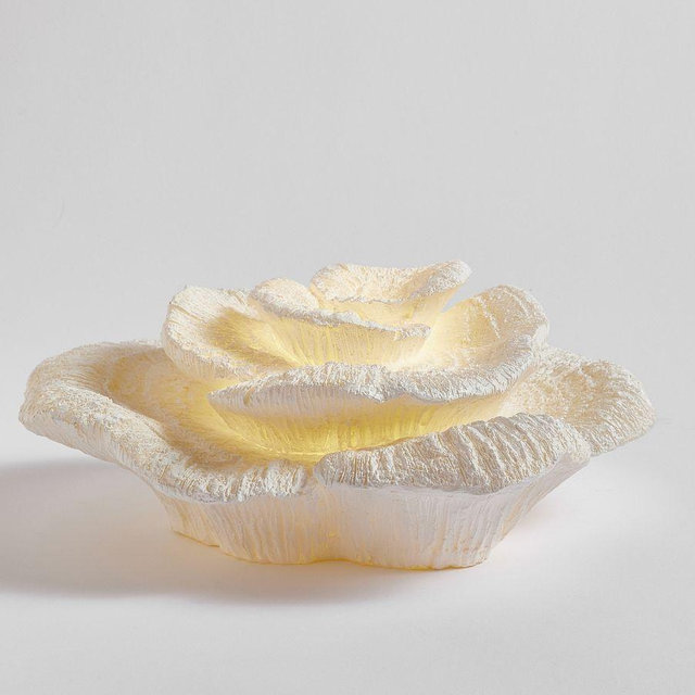 Lit Coastal Object, Coral - White