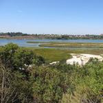 Upper Newport Bay Nature Preserve