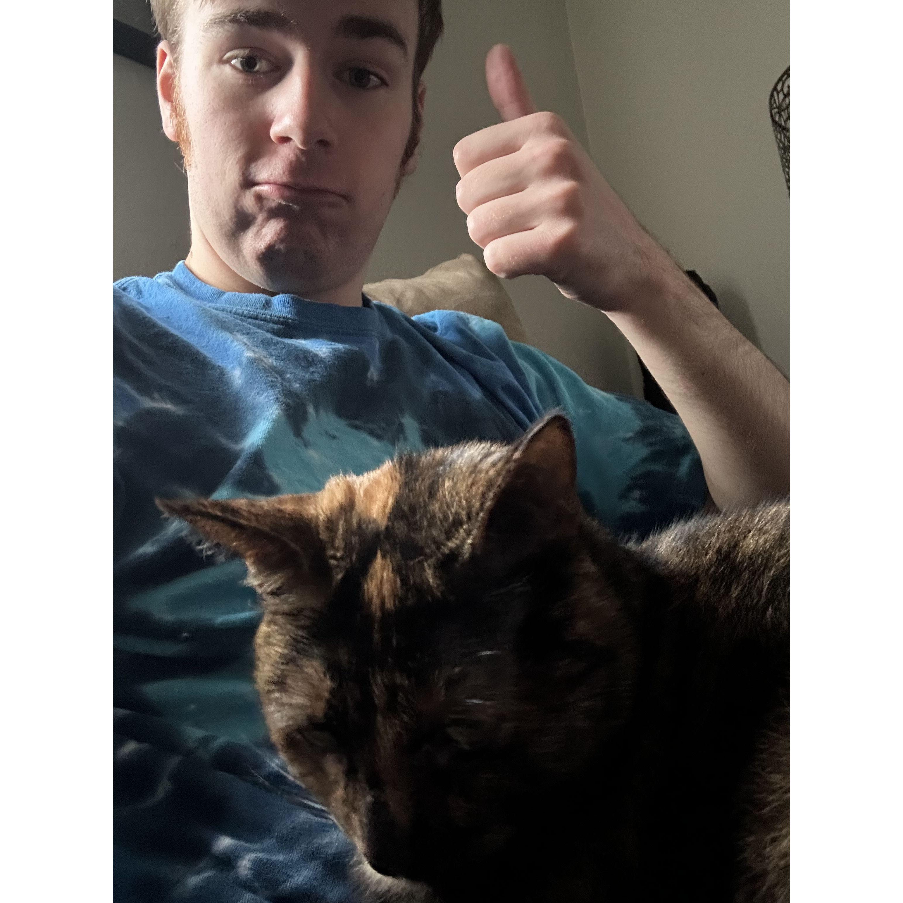 perfect lap kitty