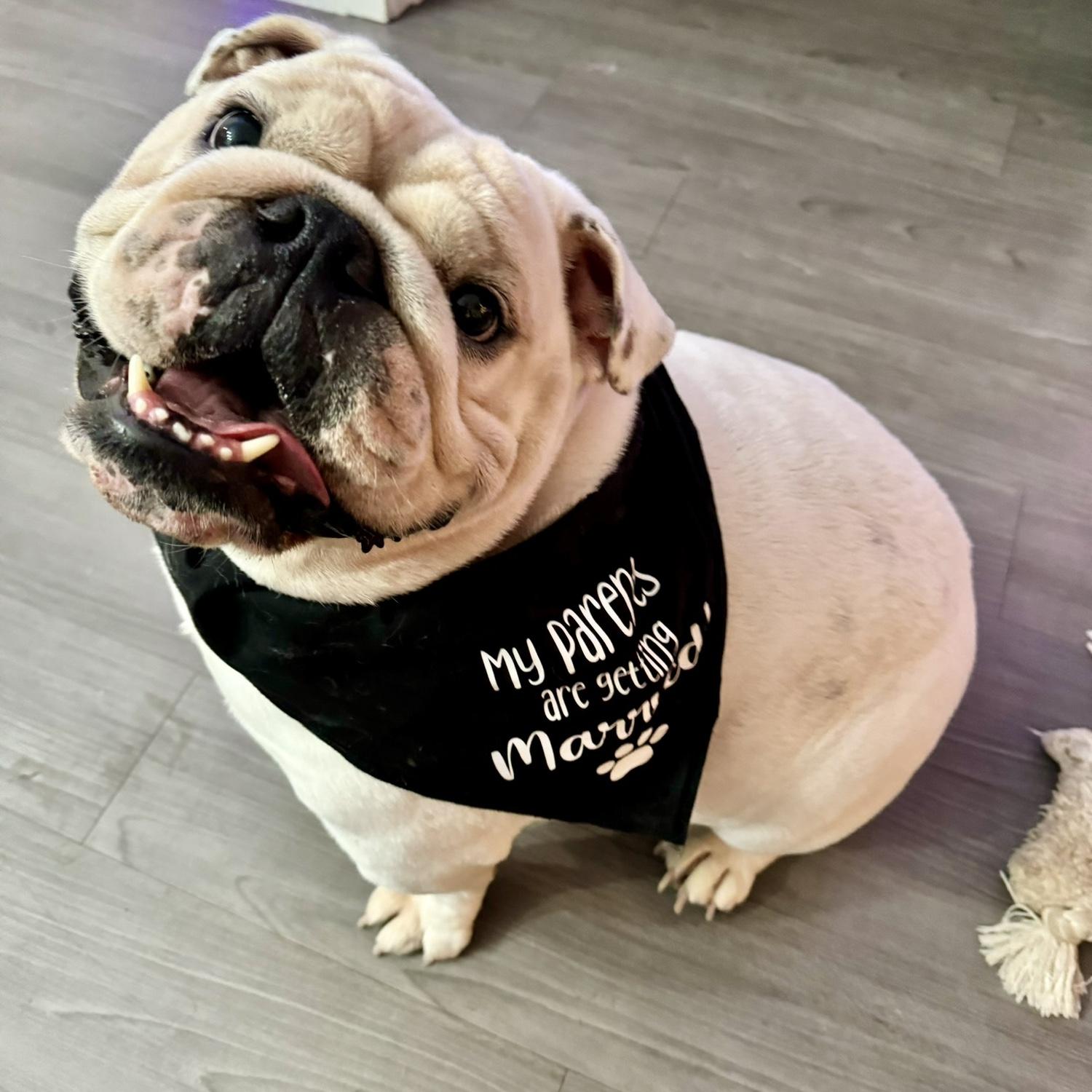 “She’s going to be my mom FUR-EVER!”- Uga