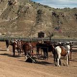 Cedar Mountain Trail Rides