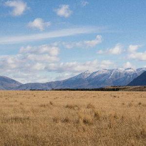 Honeymoon Day 11 - Pelennor Fields