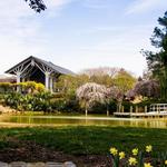 Norfolk Botanical Garden