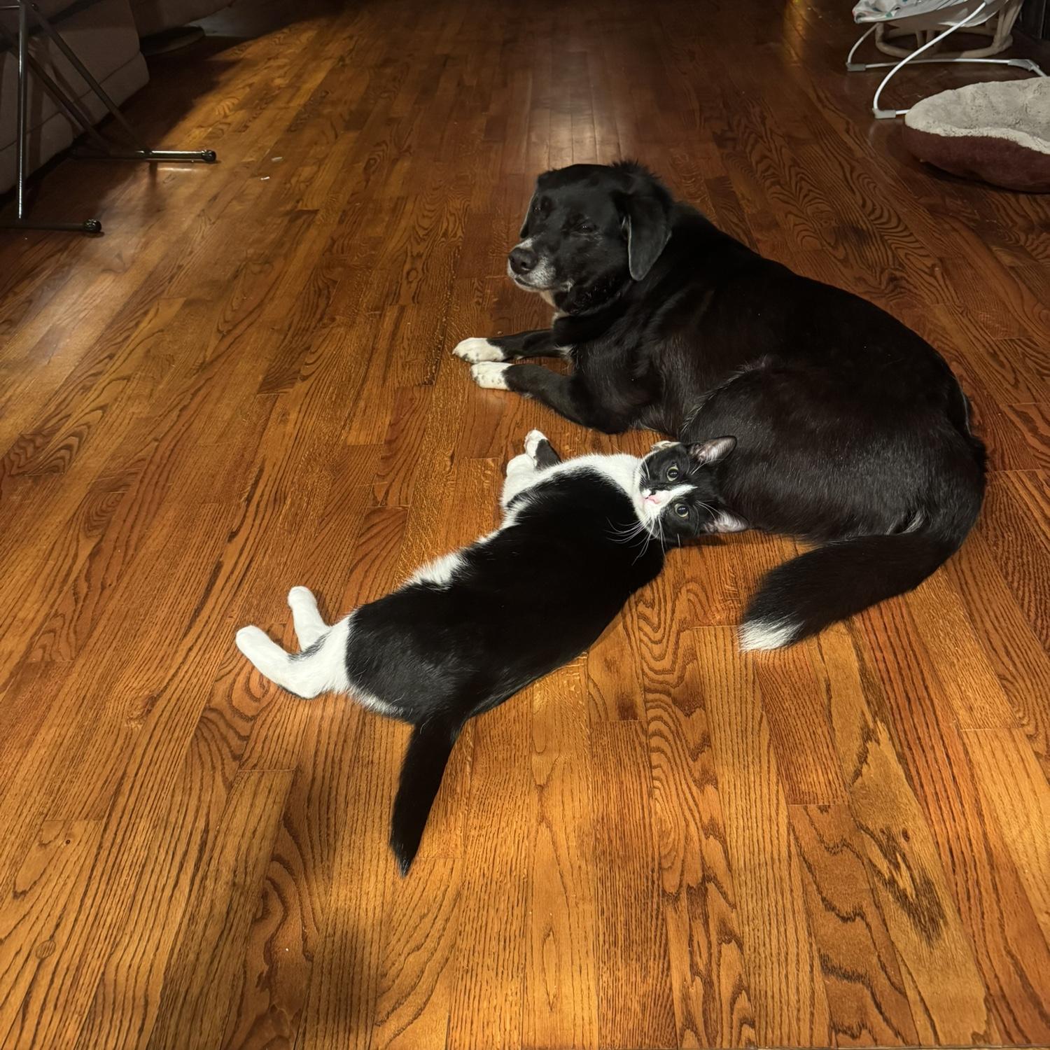 Sig hanging out with her Aunt Luna