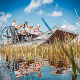 Everglades National Park Airboat Tour and Wildlife Show