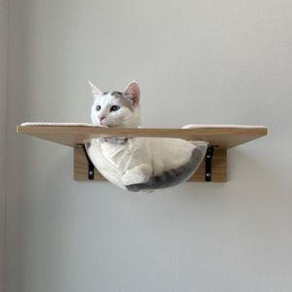 FRISCO Acrylic Bowl Wall Mounted Cat Wall Shelf - Chewy.com