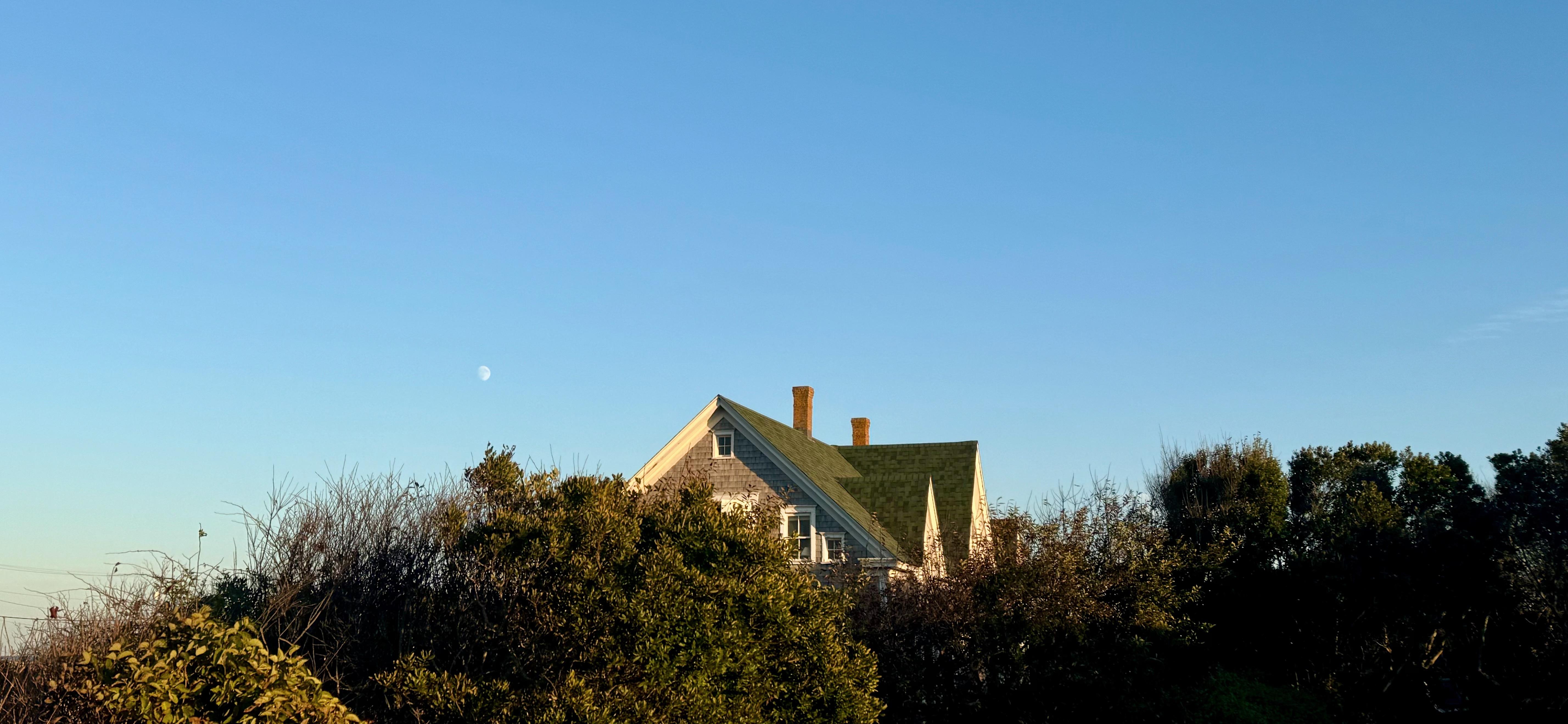 The Wedding Website of Victoria Ferrigno and Noah Gasner