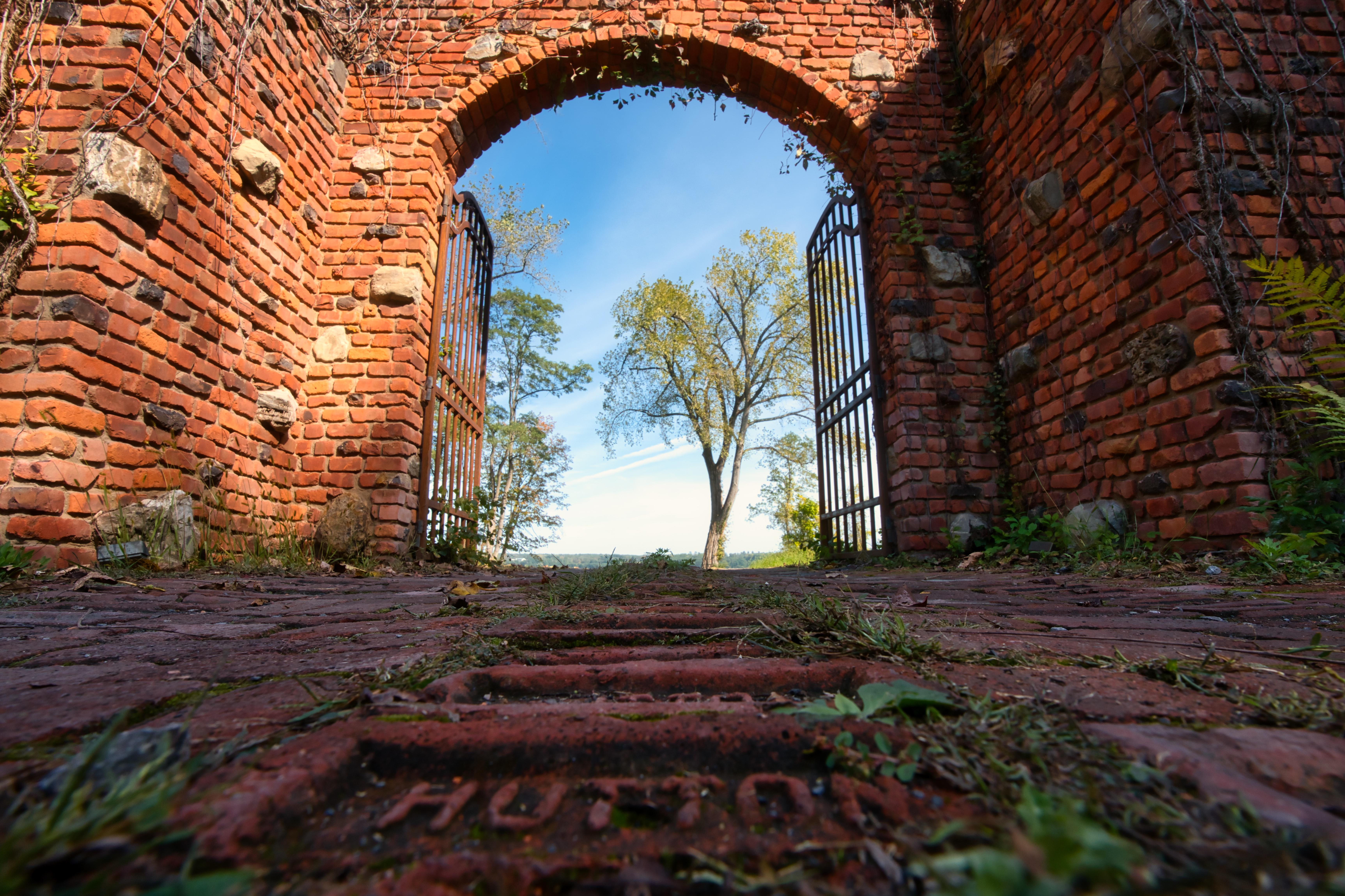 The Wedding Website of Charles Breitbart and Dylan Waldman