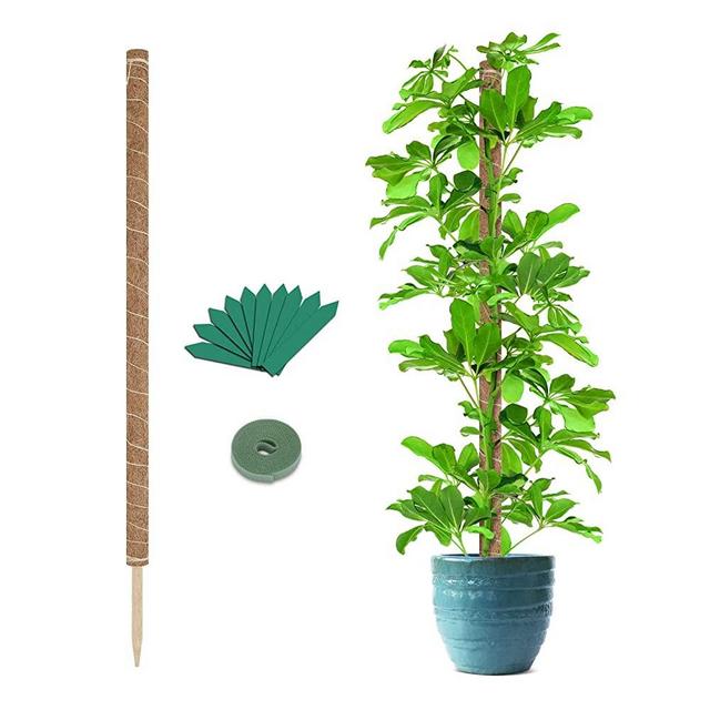 GROWNEER 48 Inches Moss Pole with 15 Pcs Plant Labels, Coir Totem Pole Coco Stick for Plant Support Extension, Climbing Indoor Plants, Creepers