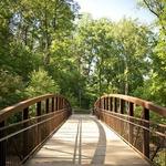 Greenway Big Creek