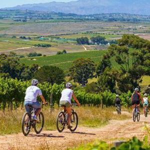 Ebike Winelands Tour