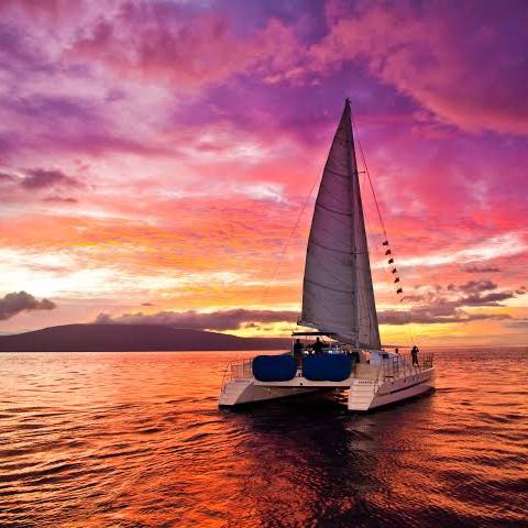 Sunset Dolphin Cruise & Dinner in Maldives