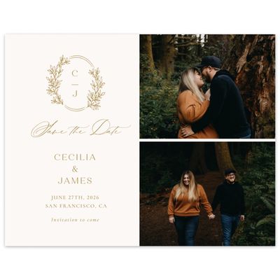 Winter Wedding Digital Save the Date - Vinehall Multiphoto