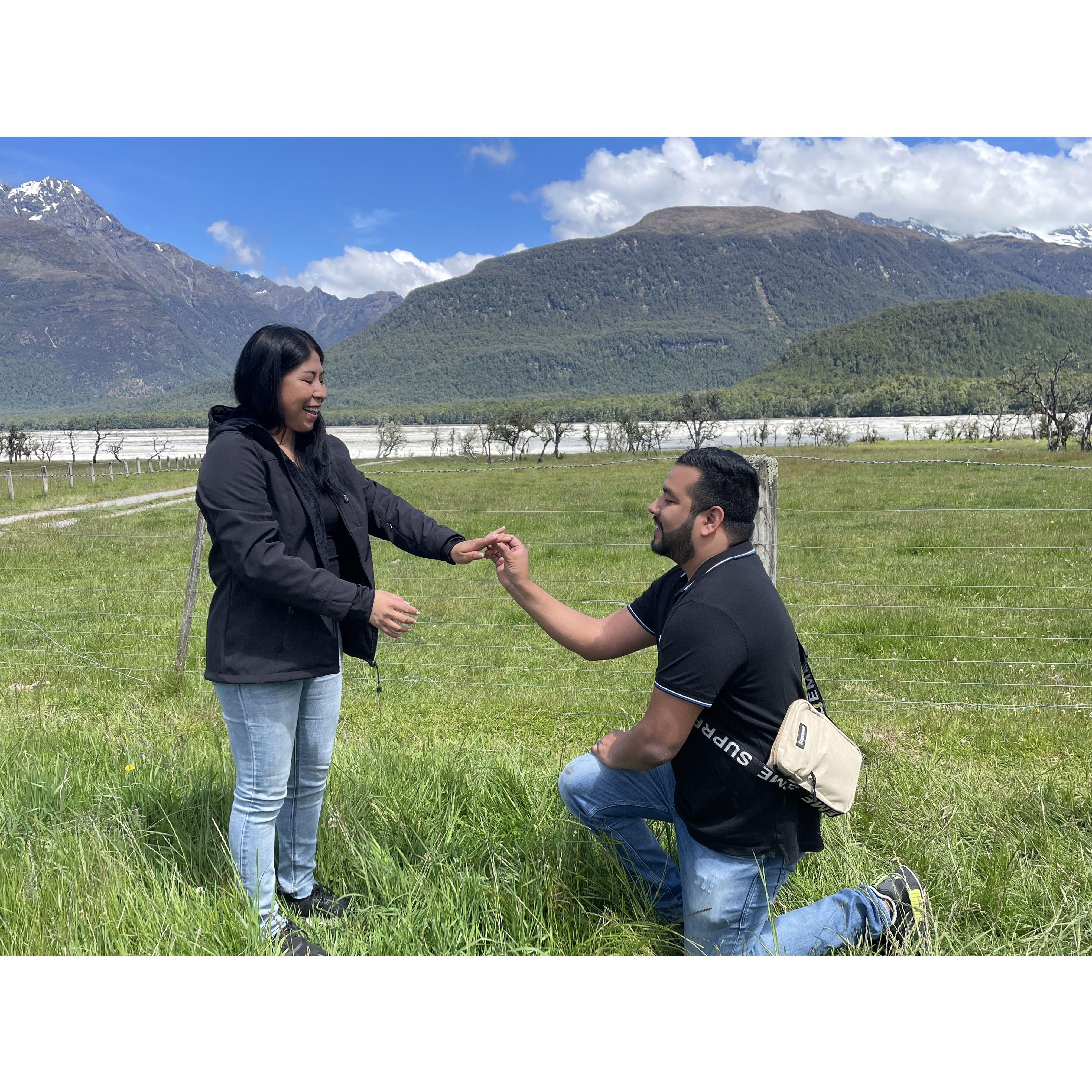 Stefan proposing to Mireya in Aukland, Newzeland.