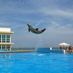 Marineland of Florida