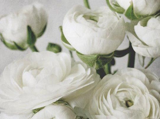 The Wedding Website of Natalia Alvarado and Tyler Bell