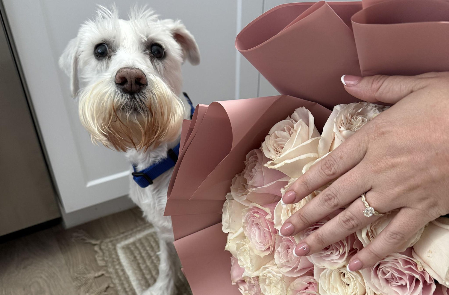 The Wedding Website of Amy Lugo and Andrew Chavez