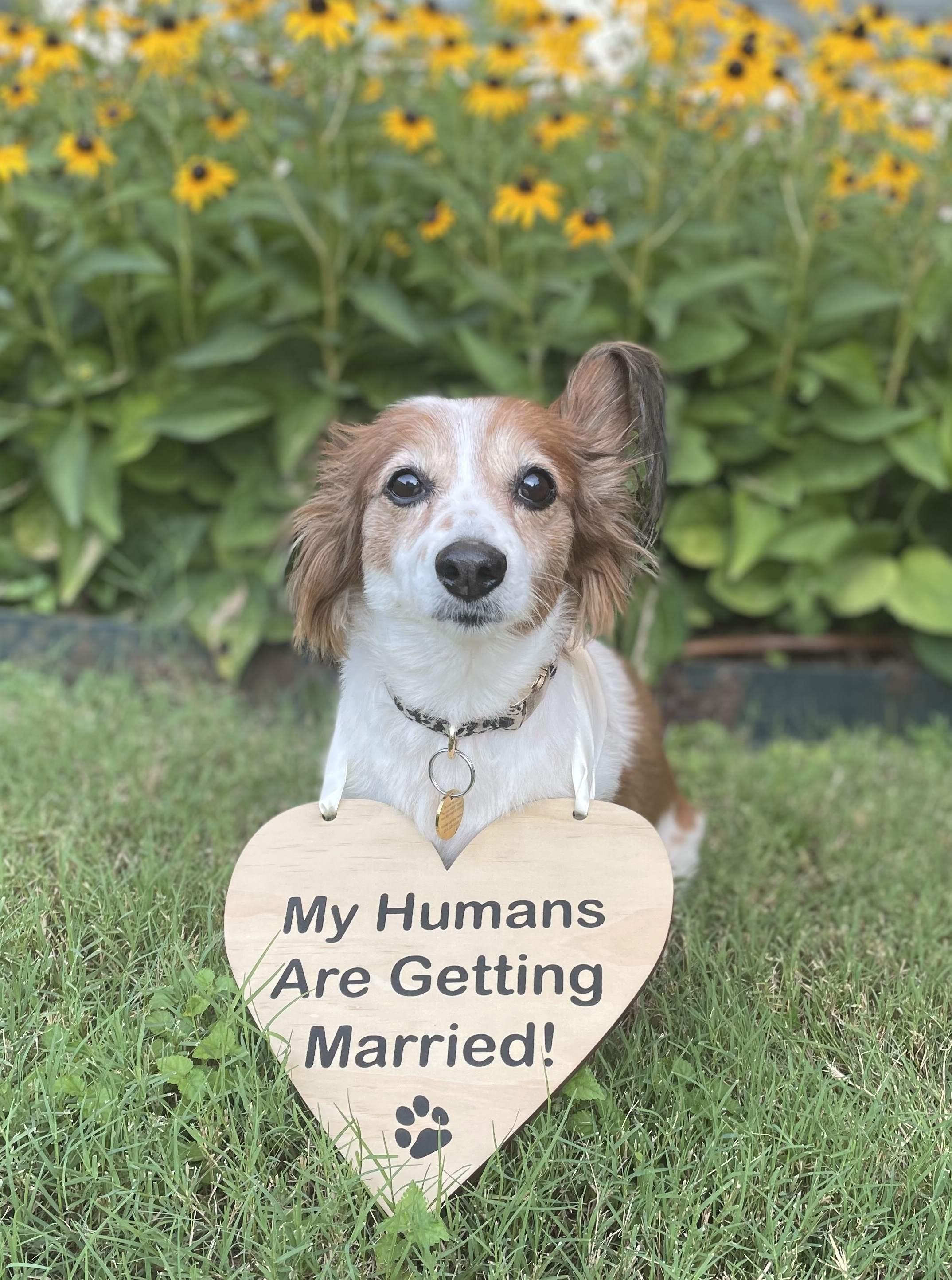 The Wedding Website of Trevor Reed and Ashley Keating