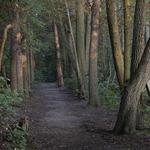 Parvin Lake