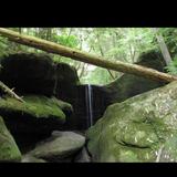 Dismals Canyon