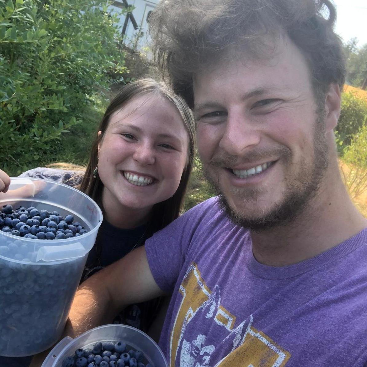 Picking replacement blueberries after losing 40lbs of them to the Sourdough Fire...so much fridge food lost to the evacuation.