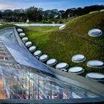 California Academy of Sciences
