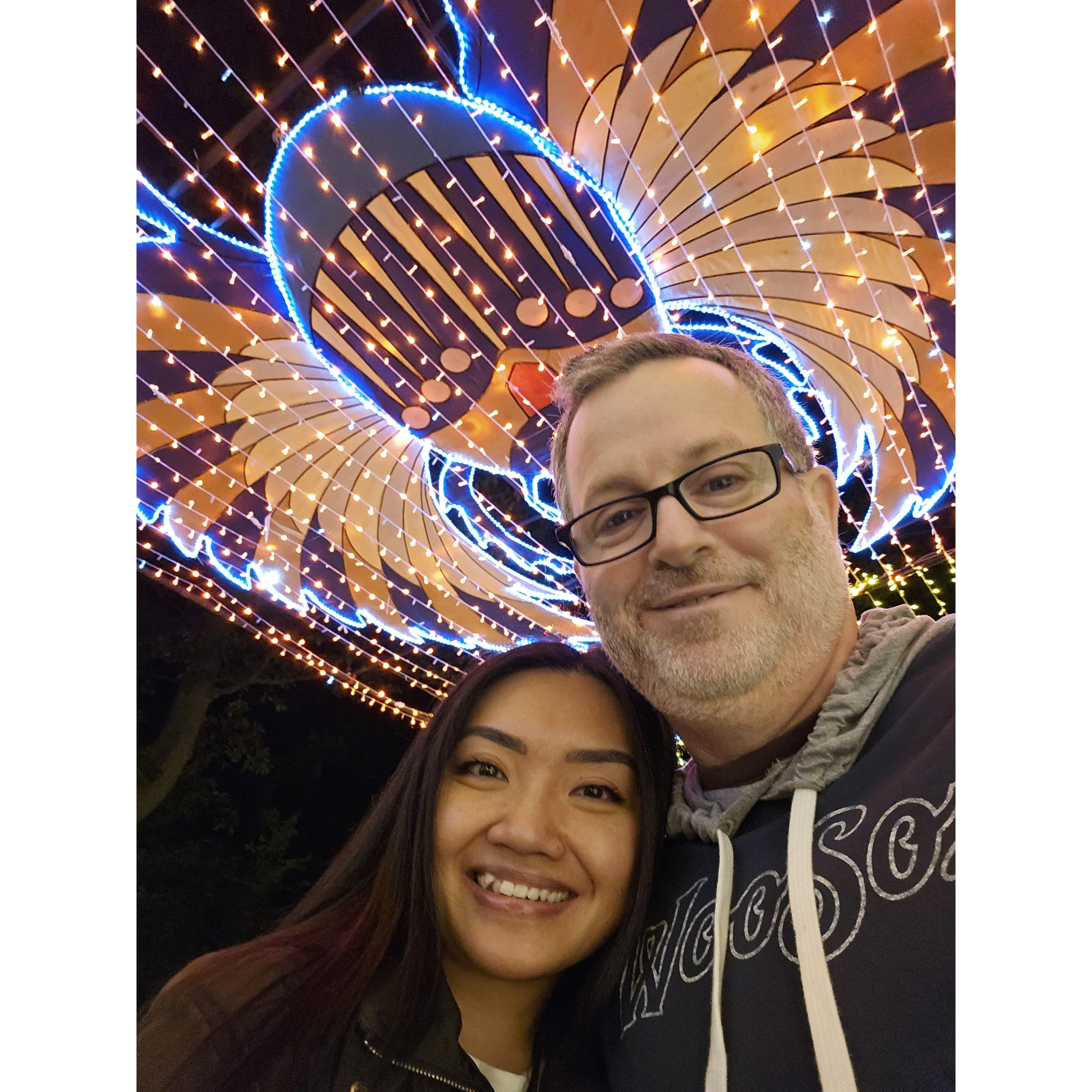 Boston Lights at Franklin Zoo