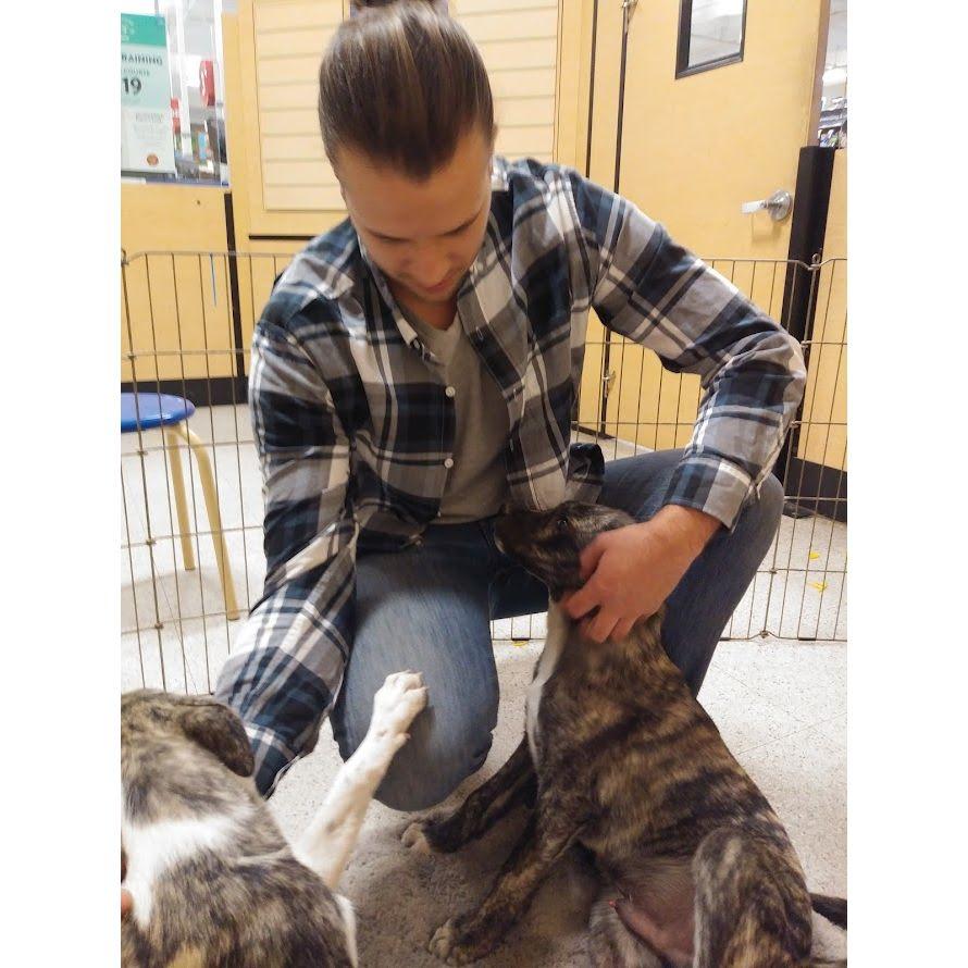 Becoming dog parents! Merced, California, 2020