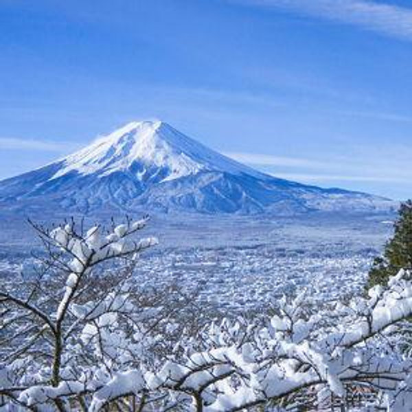 Japan Honeymoon Fund