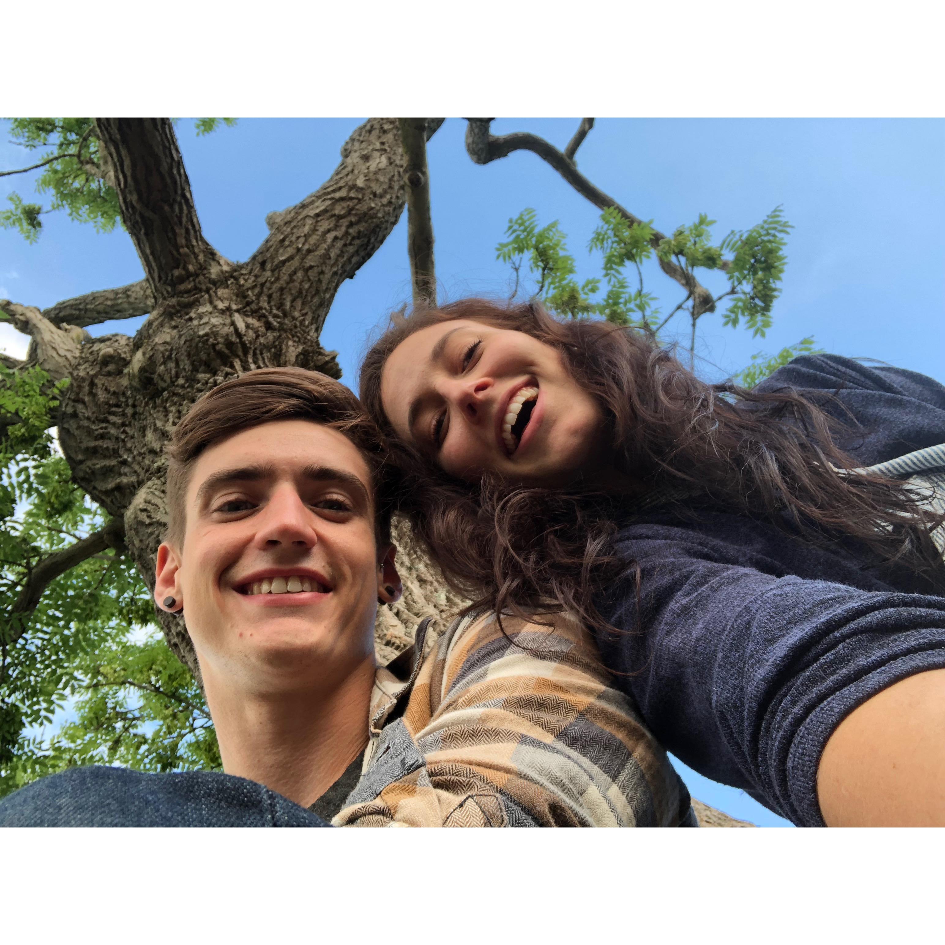 Climbing trees in the English countryside