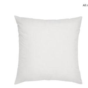 Cushion
