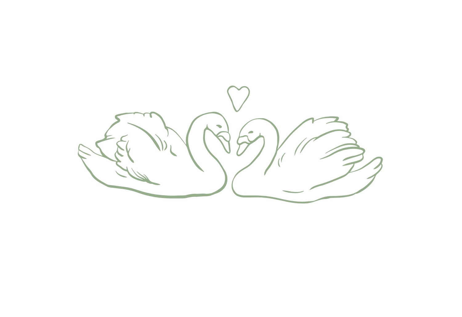 The Wedding Website of Amber Olsen and Andrew Cortese