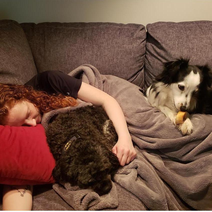 Not overall important, but it shows our fur babies Nova and Frankie in an adorable cuddle puddle