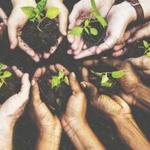 Chattahoochee Nature Center