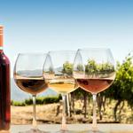Woodinville Wine Tasting