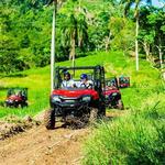 Jungle Buggies and Monkeyland from Punta Cana
