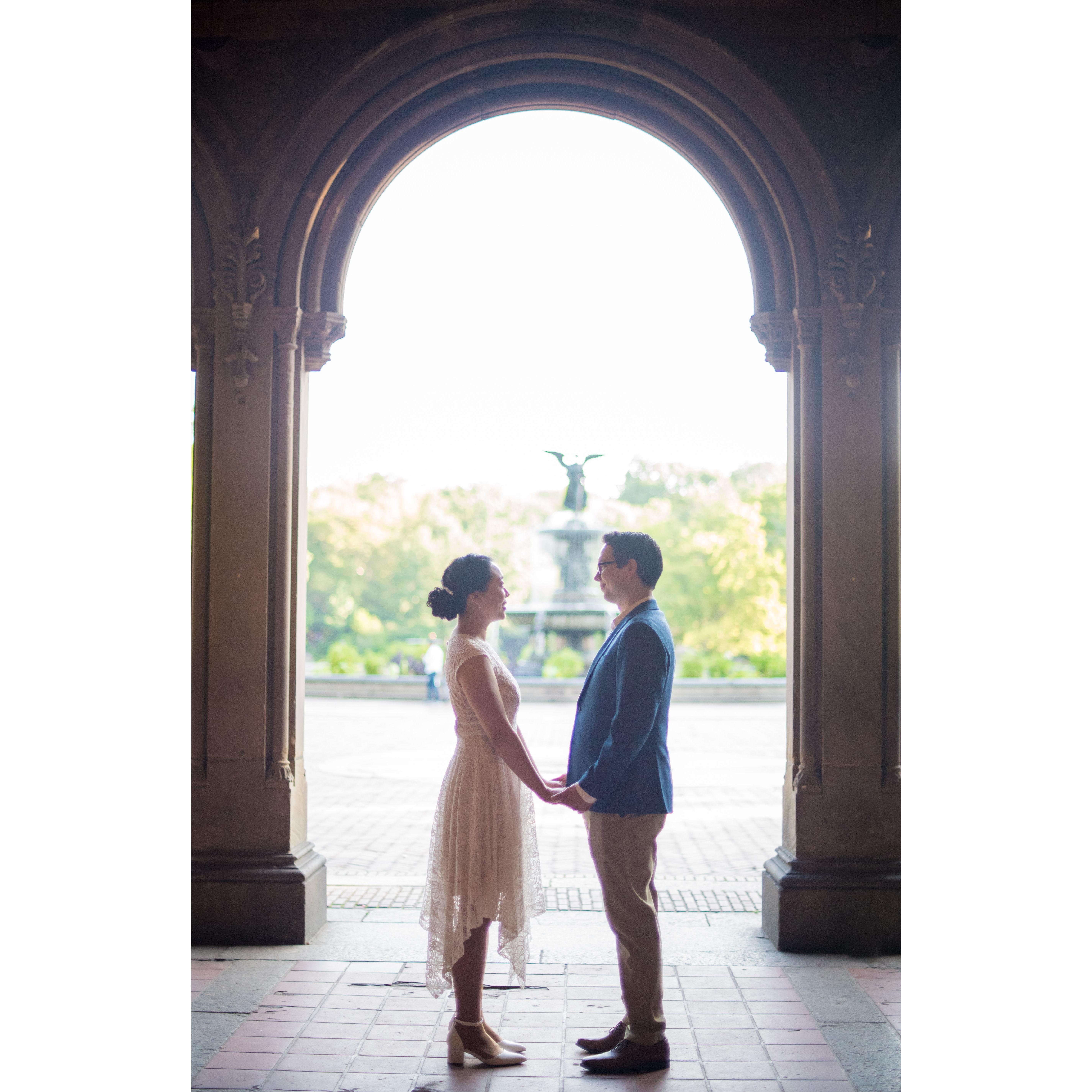 Engagement in Central Park, NYC