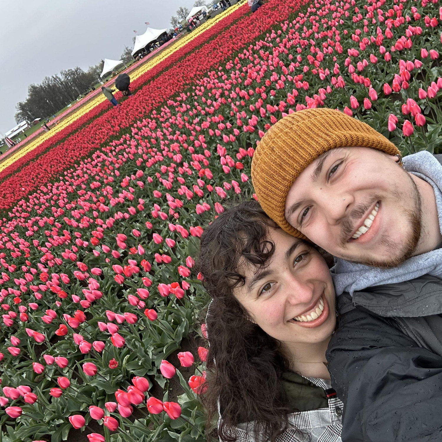 Tulip festival.