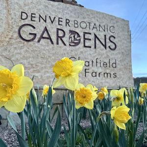 Denver Botanic Gardens Membership