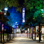 Chapultepec neighborhood