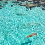 Rottnest Island