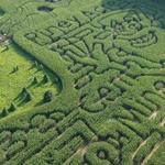 Piney Acres