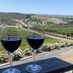 Falkner Winery
