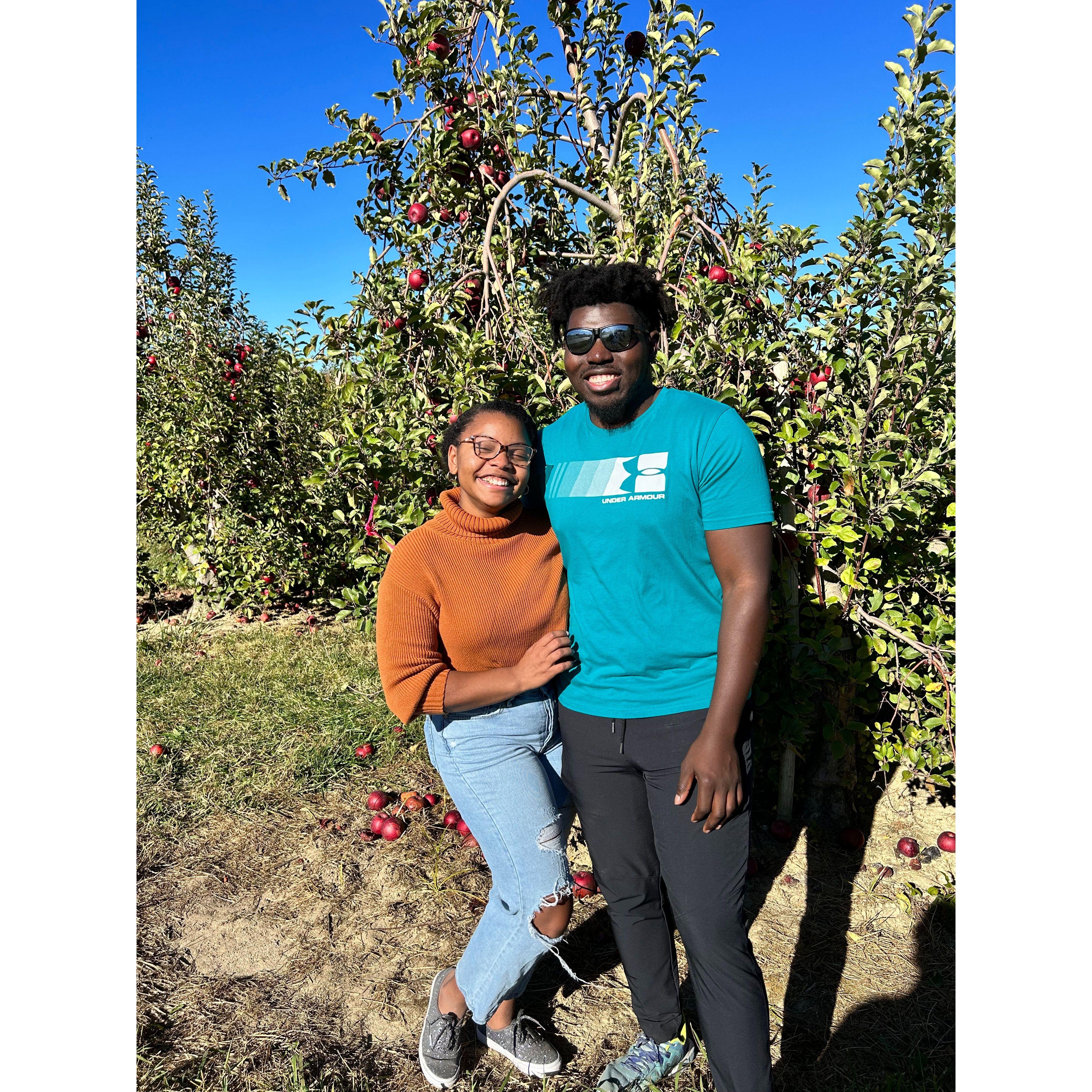 Apple Picking in Hendersonville 2023!