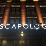 Escapology Montgomery