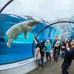 The Detroit Zoo